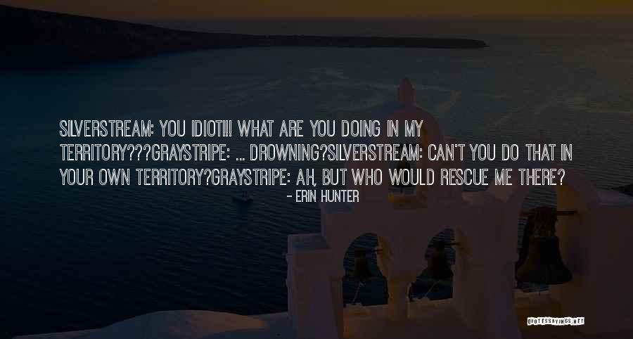 Combinazione Colori Quotes By Erin Hunter Combinazione Colori Quotes By Erin Hunter