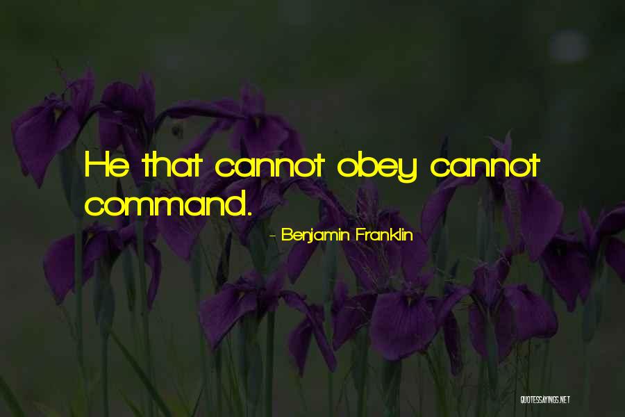 Combustibilidad Quotes By Benjamin Franklin Combustibilidad Quotes By Benjamin Franklin