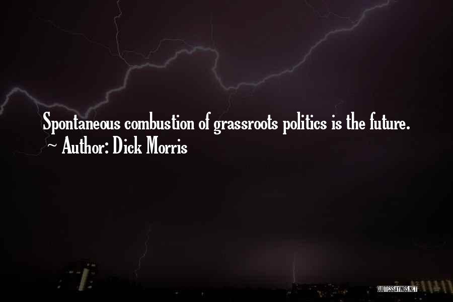 Combustion Quotes By Dick Morris