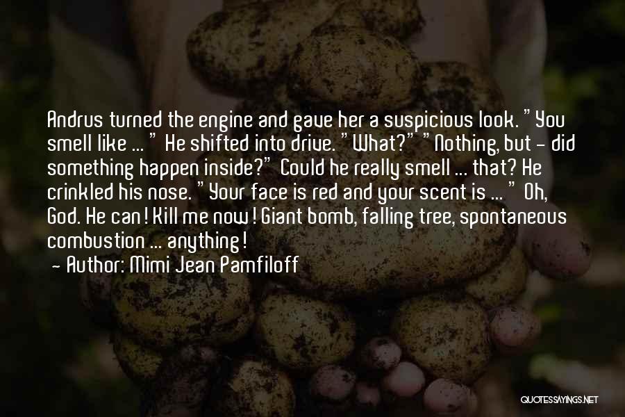 Combustion Quotes By Mimi Jean Pamfiloff