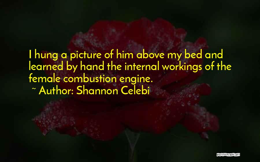 Combustion Quotes By Shannon Celebi