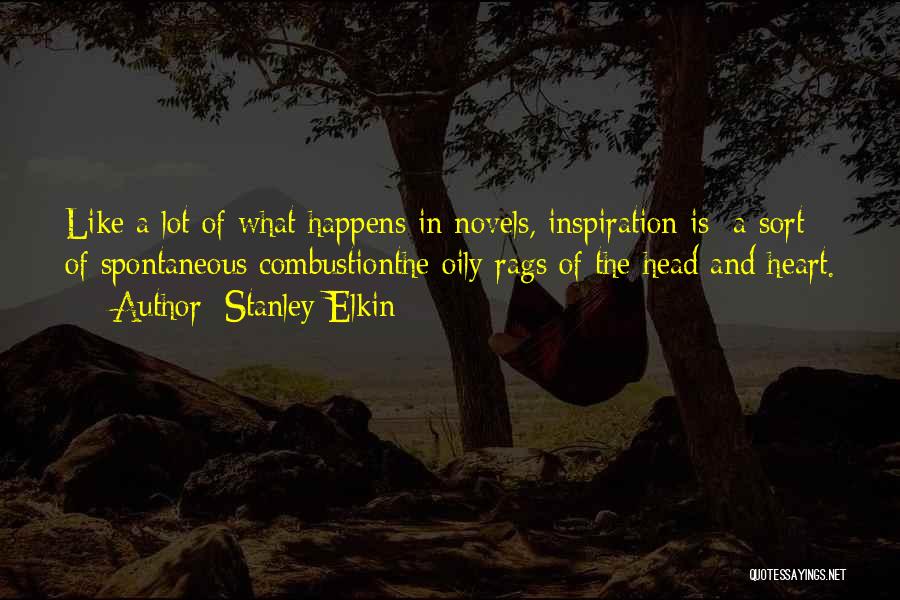 Combustion Quotes By Stanley Elkin