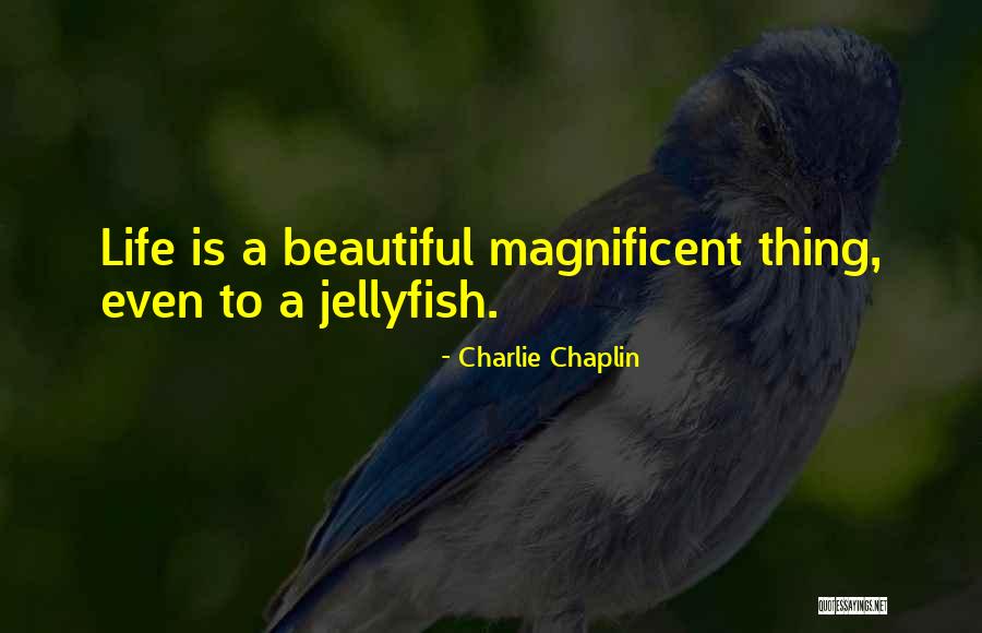 Comdoms For Women Quotes By Charlie Chaplin Comdoms For Women Quotes By Charlie Chaplin