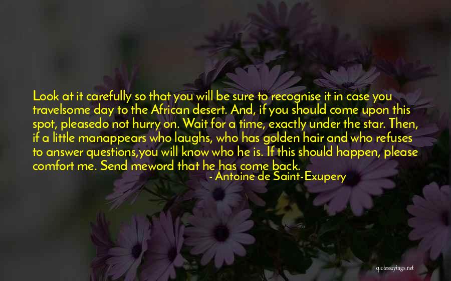 Come At Me Quotes By Antoine De Saint-Exupery