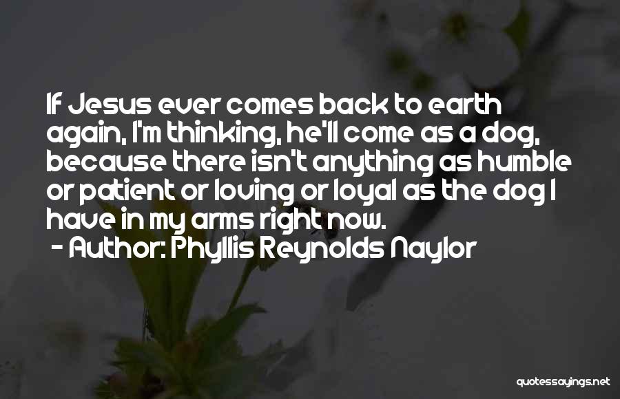 Come Back Again Quotes By Phyllis Reynolds Naylor