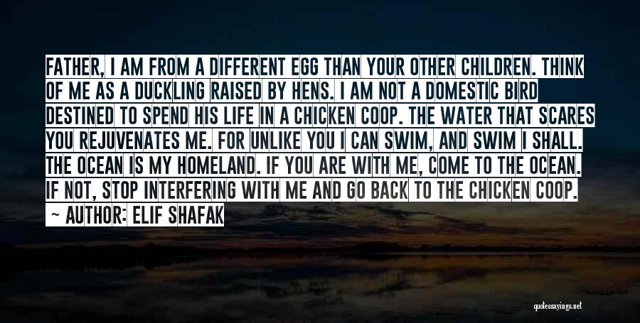 Come Back In Life Quotes By Elif Shafak