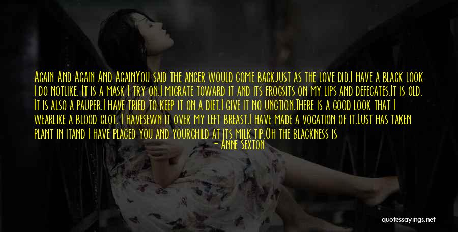 Come Back In Love Quotes By Anne Sexton