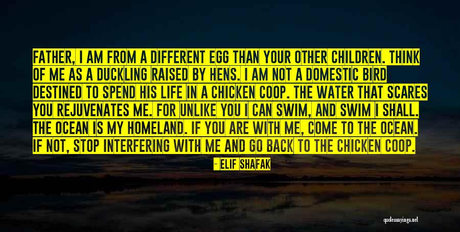 Come Back In My Life Quotes By Elif Shafak