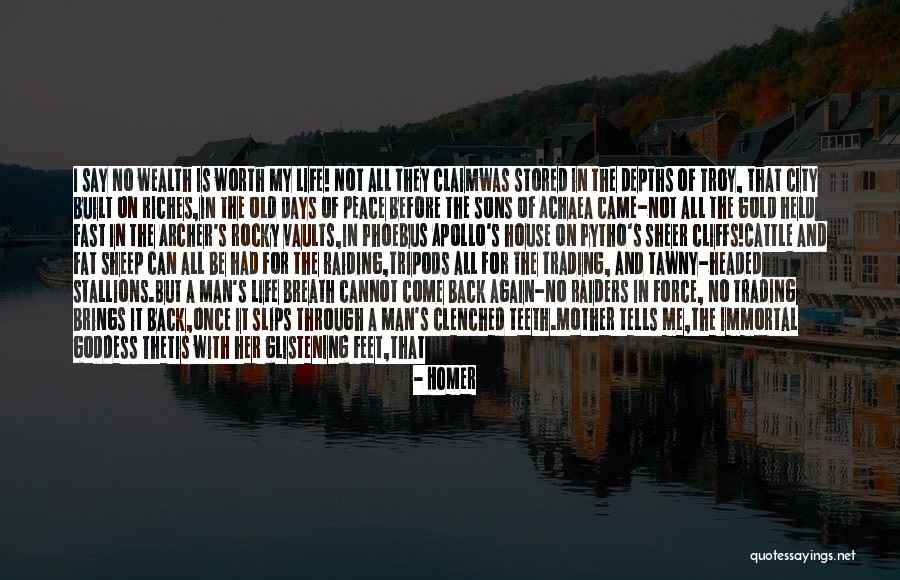 Come Back In My Life Quotes By Homer Come Back In My Life Quotes By Homer