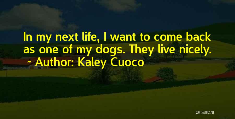 Come Back In My Life Quotes By Kaley Cuoco