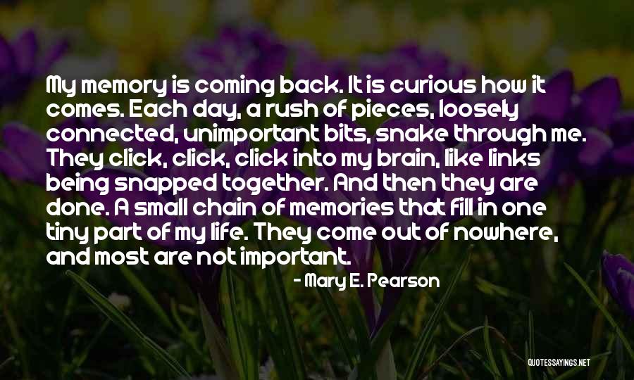 Come Back In My Life Quotes By Mary E. Pearson