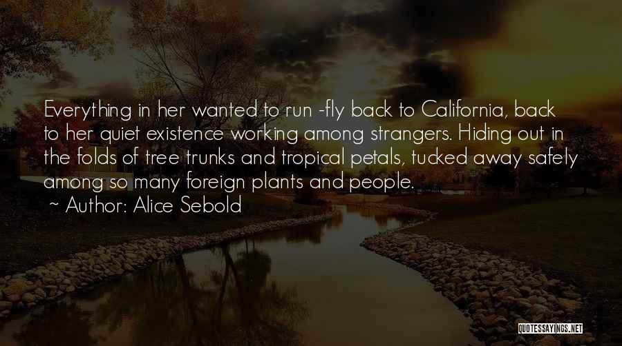 Come Back Safely Quotes By Alice Sebold