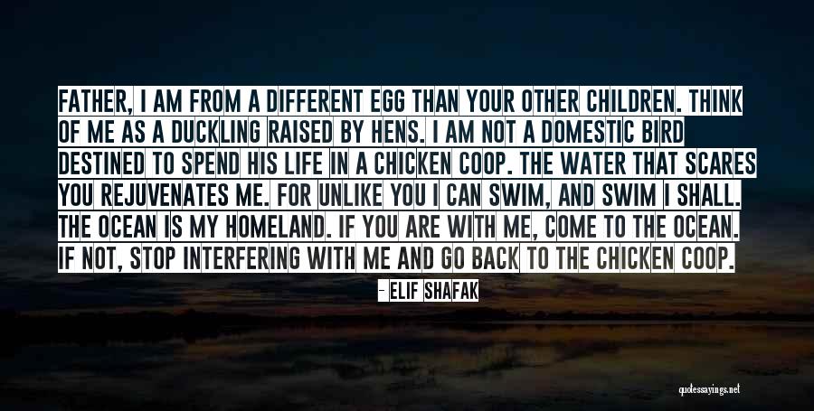 Come Back To Me Quotes By Elif Shafak