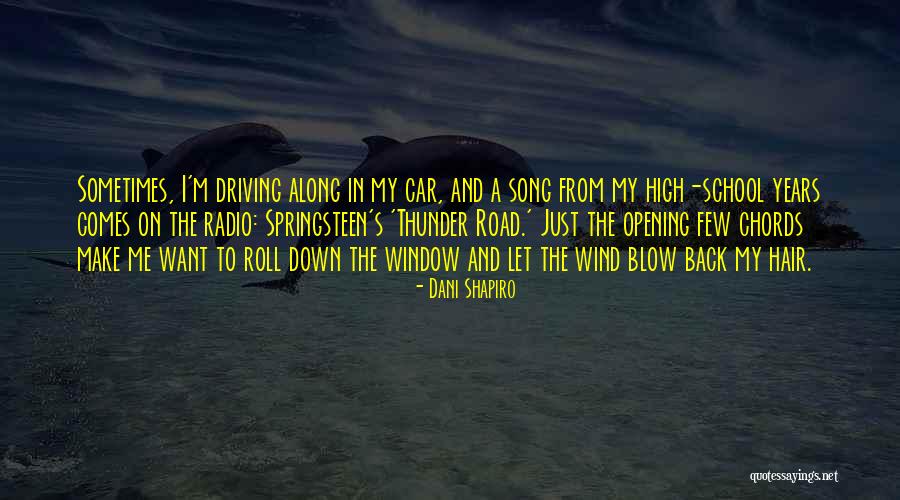 Come Down Chords Quotes By Dani Shapiro Come Down Chords Quotes By Dani Shapiro