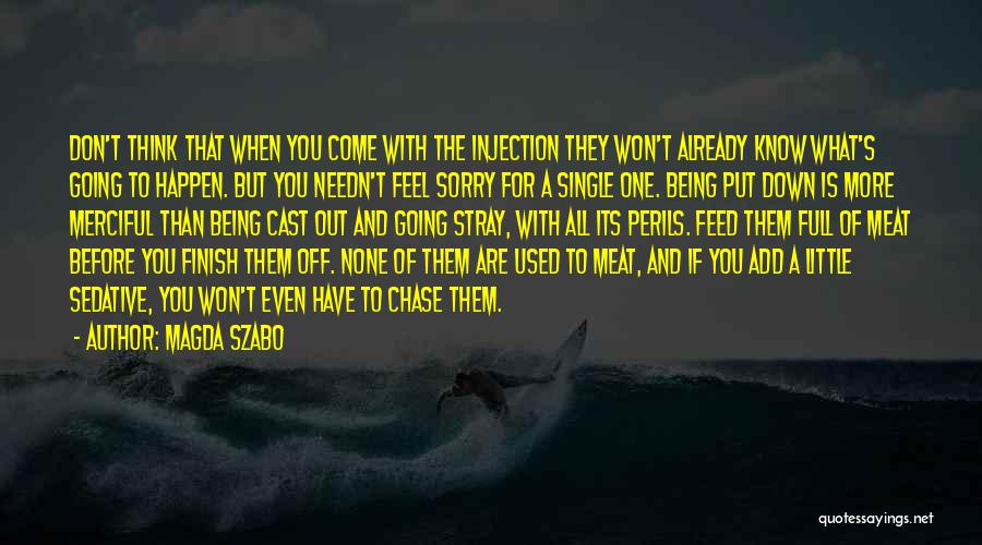 Come Down Quotes By Magda Szabo