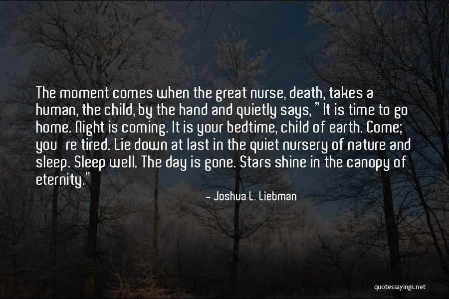 Come Down To Earth Quotes By Joshua L. Liebman