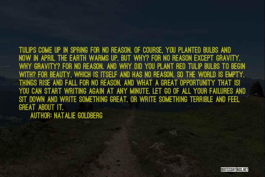 Come Down To Earth Quotes By Natalie Goldberg