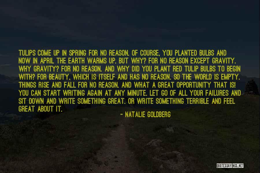 Come Down To Earth Quotes By Natalie Goldberg