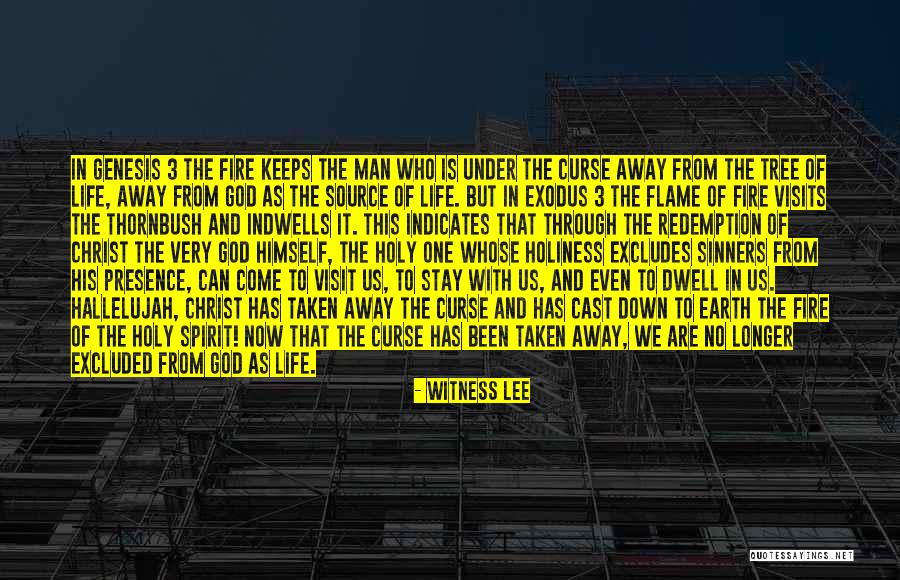 Come Down To Earth Quotes By Witness Lee