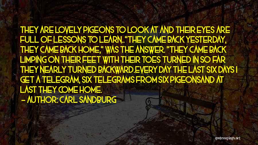 Come Home Quotes By Carl Sandburg