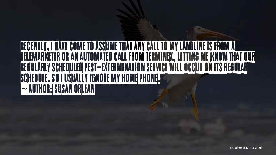 Come Home To Me Quotes By Susan Orlean