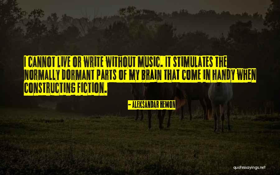 Come In Handy Quotes By Aleksandar Hemon Come In Handy Quotes By Aleksandar Hemon
