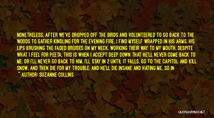 Come In My Arms Quotes By Suzanne Collins