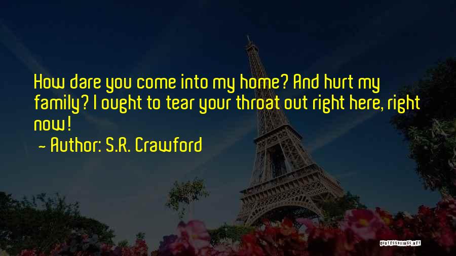 Come Into My Life Quotes By S.R. Crawford