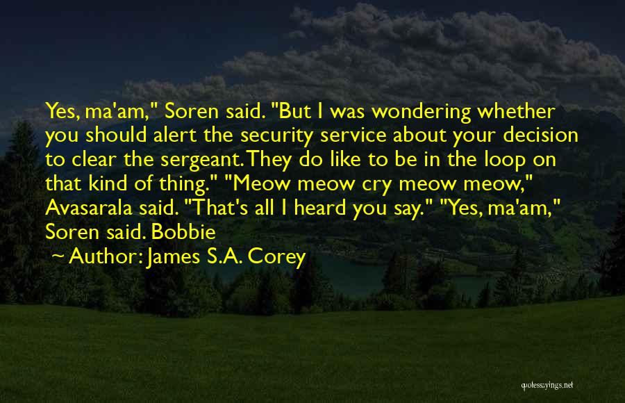 Come On Meow Quotes By James S.A. Corey
