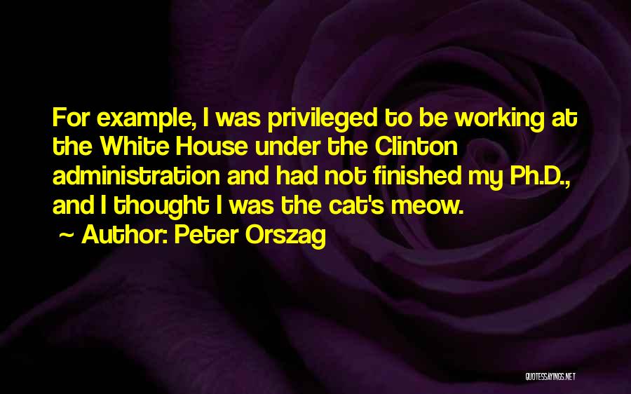 Come On Meow Quotes By Peter Orszag