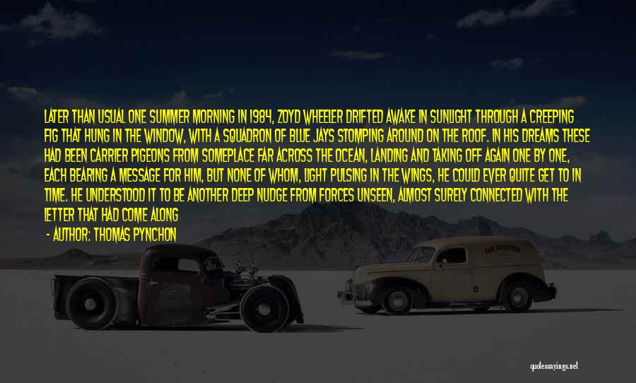 Come On Summer Quotes By Thomas Pynchon