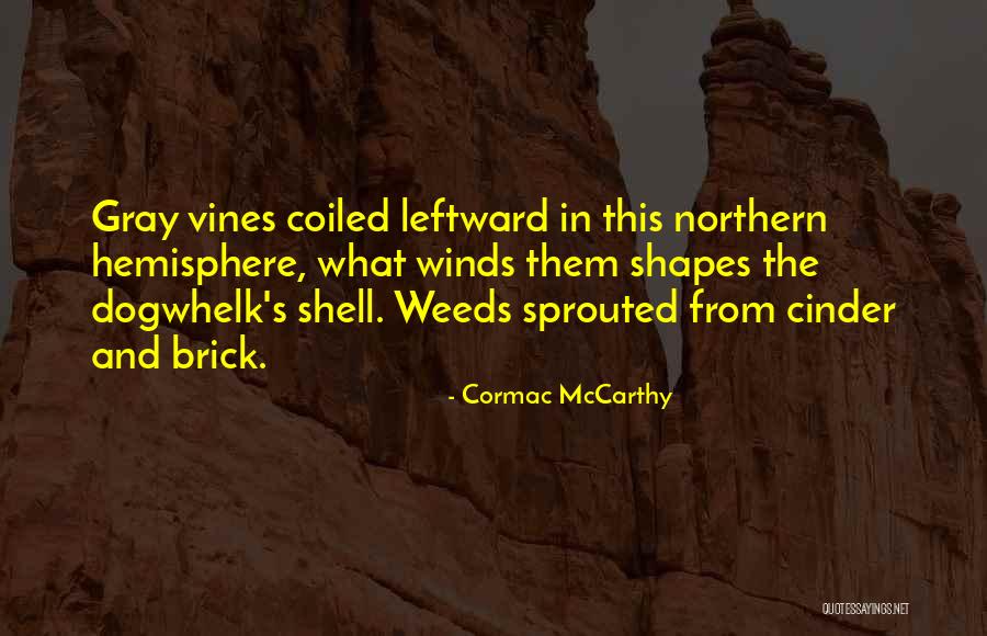 Come Out Of Shell Quotes By Cormac McCarthy