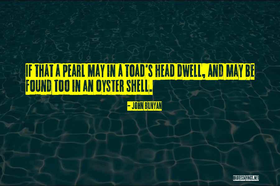 Come Out Of Shell Quotes By John Bunyan