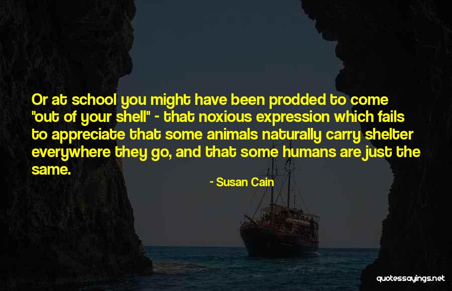 Come Out Of Shell Quotes By Susan Cain