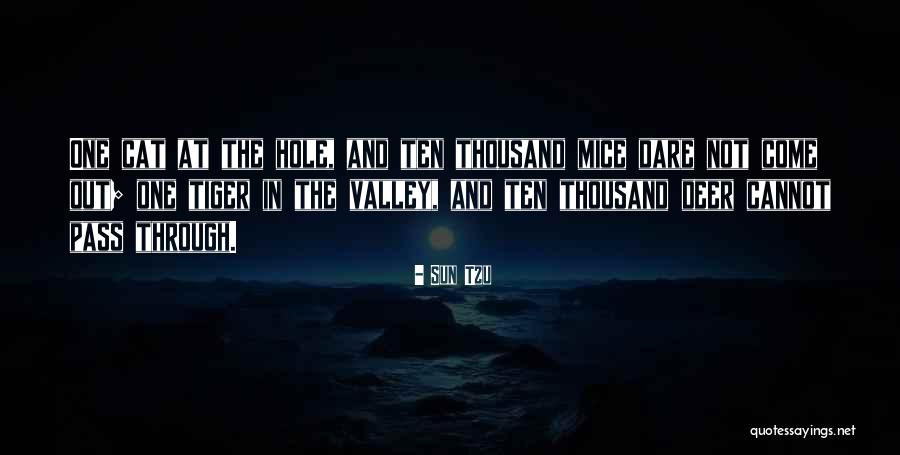 Come Out Sun Quotes By Sun Tzu