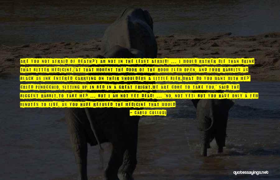 Come To Bed Quotes By Carlo Collodi Come To Bed Quotes By Carlo Collodi