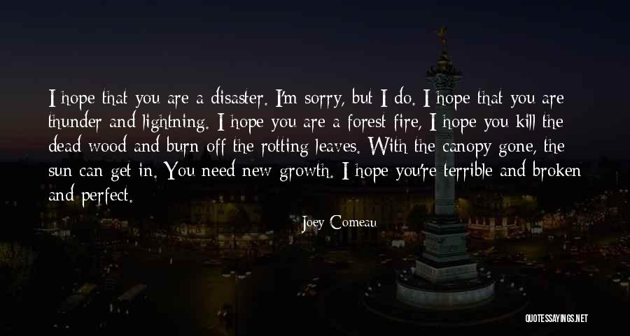 Comeau Quotes By Joey Comeau Comeau Quotes By Joey Comeau
