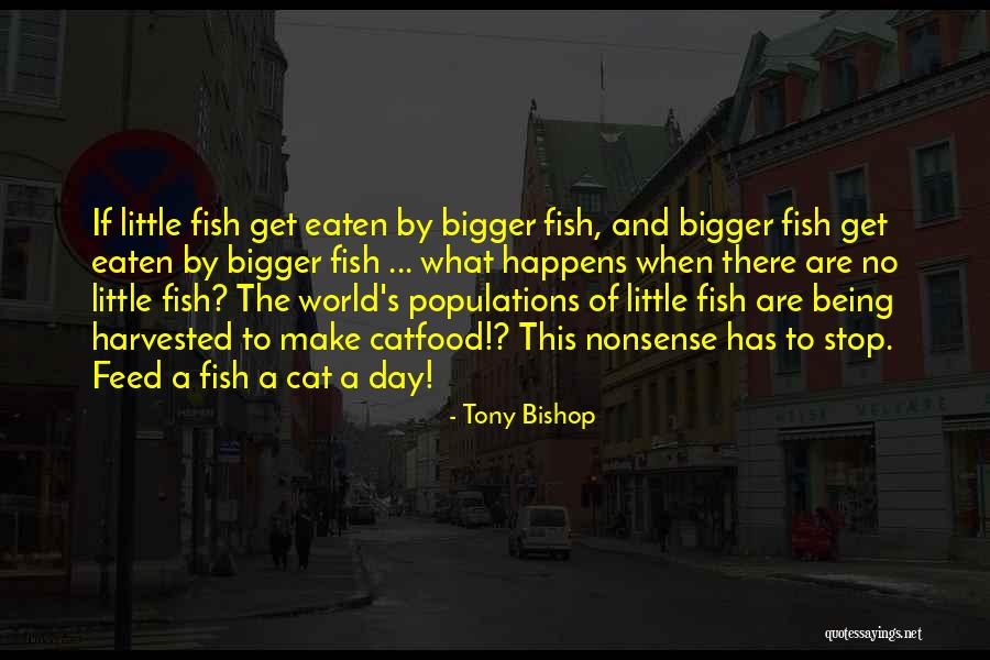 Comecei Em Quotes By Tony Bishop Comecei Em Quotes By Tony Bishop