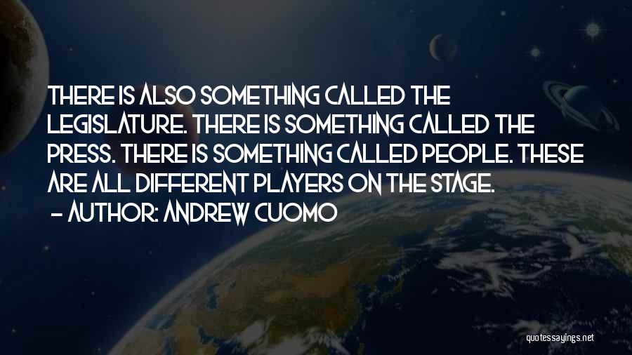 Comedian Chris Porter Quotes By Andrew Cuomo