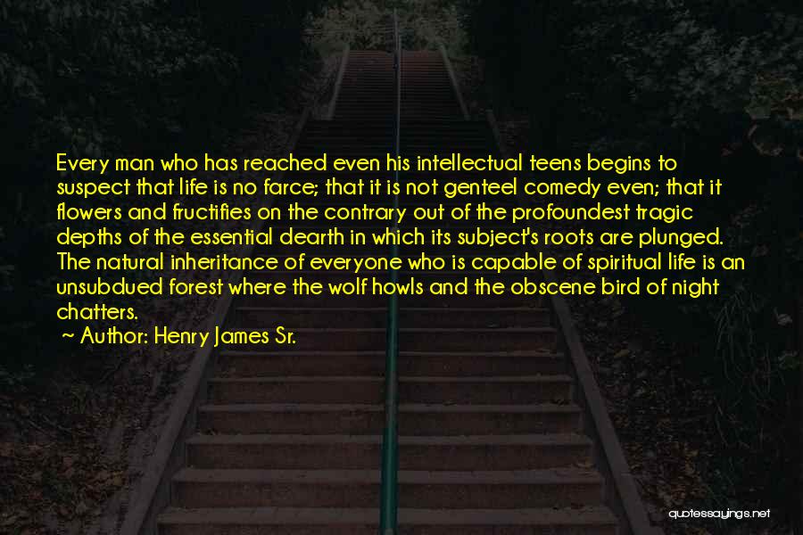 Comedy Night Quotes By Henry James Sr.