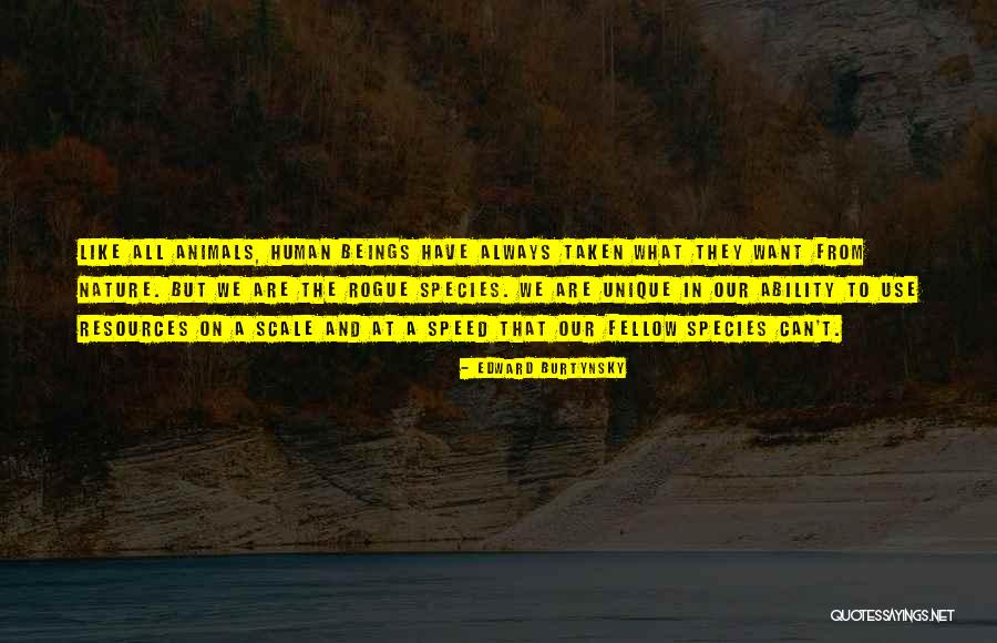 Comedysportz Houston Quotes By Edward Burtynsky Comedysportz Houston Quotes By Edward Burtynsky
