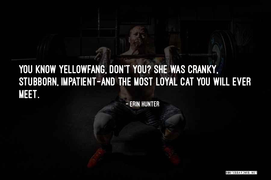 Comemorarea Quotes By Erin Hunter Comemorarea Quotes By Erin Hunter