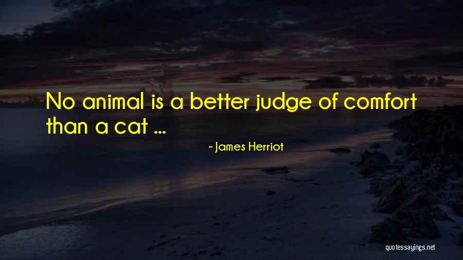 Comerciante Que Quotes By James Herriot