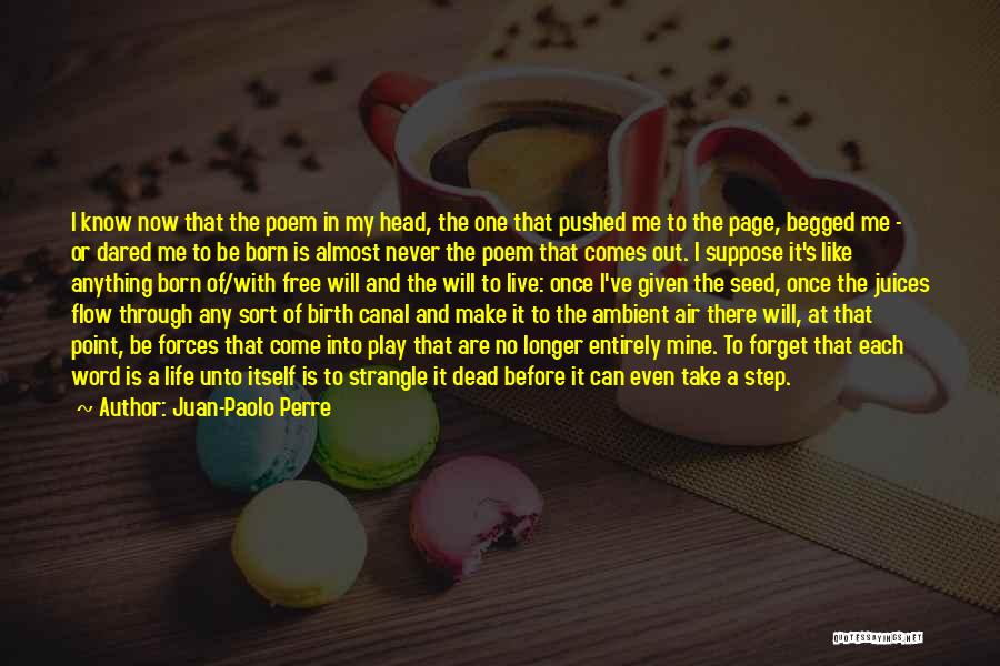Comes A Point In Life Quotes By Juan-Paolo Perre