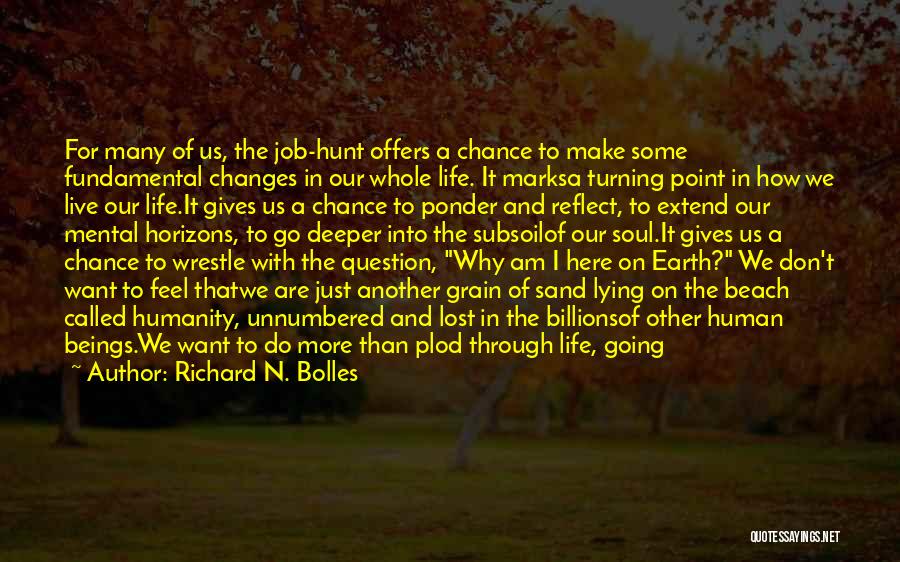 Comes A Point In Life Quotes By Richard N. Bolles