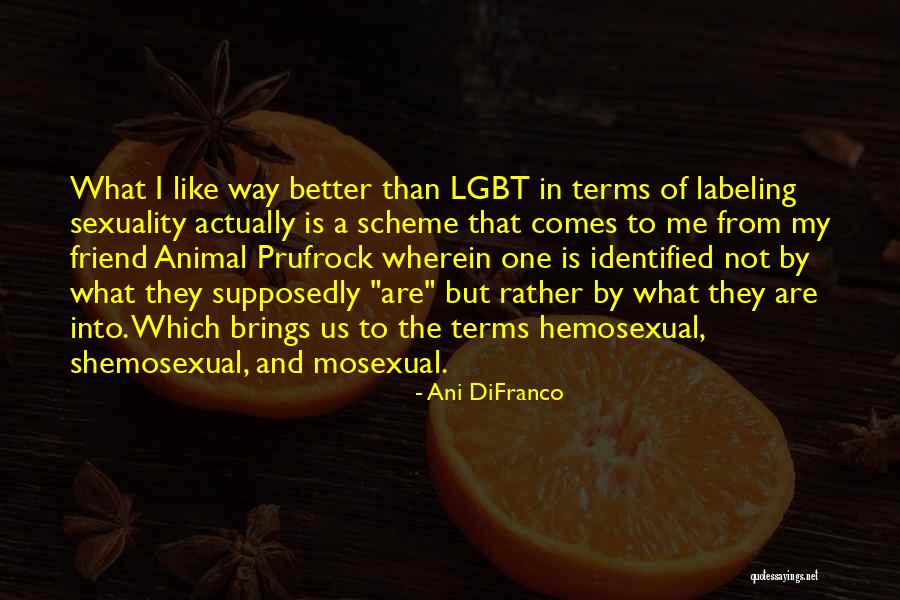 Comes To Terms Quotes By Ani DiFranco Comes To Terms Quotes By Ani DiFranco