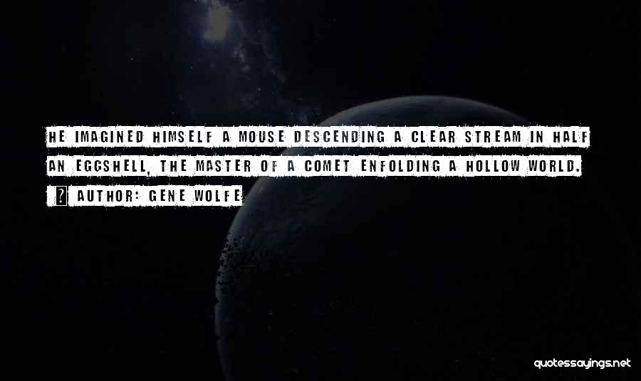 Comet Quotes By Gene Wolfe