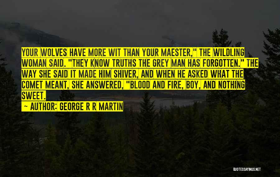 Comet Quotes By George R R Martin