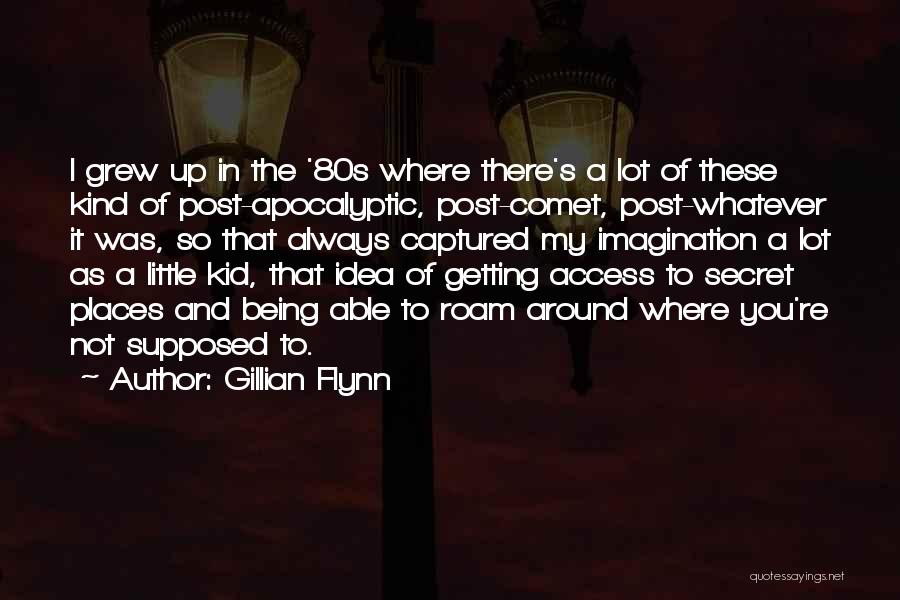 Comet Quotes By Gillian Flynn