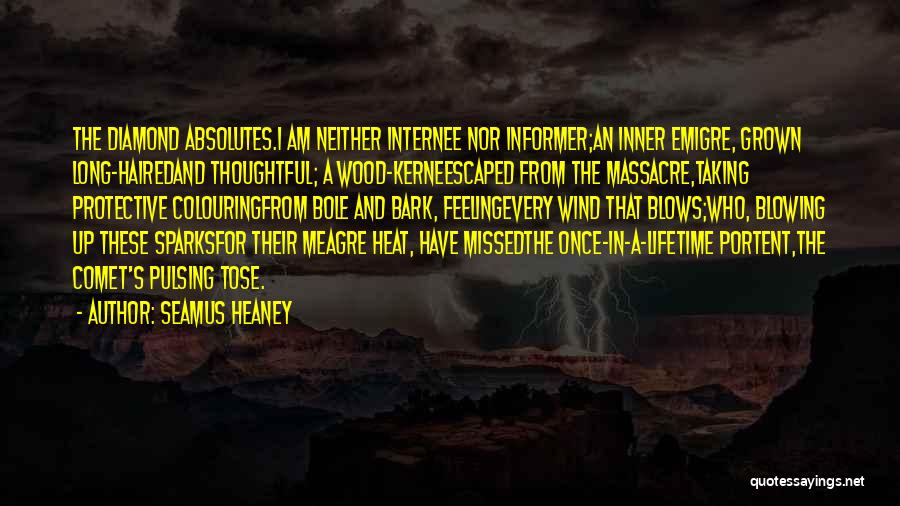 Comet Quotes By Seamus Heaney